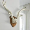 Bois de cerf décoratifs Talim