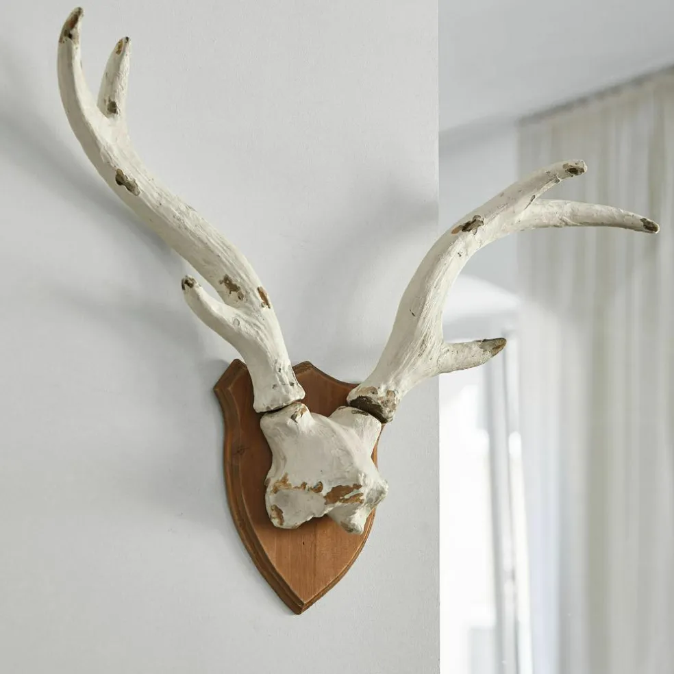 Bois de cerf décoratifs Talim