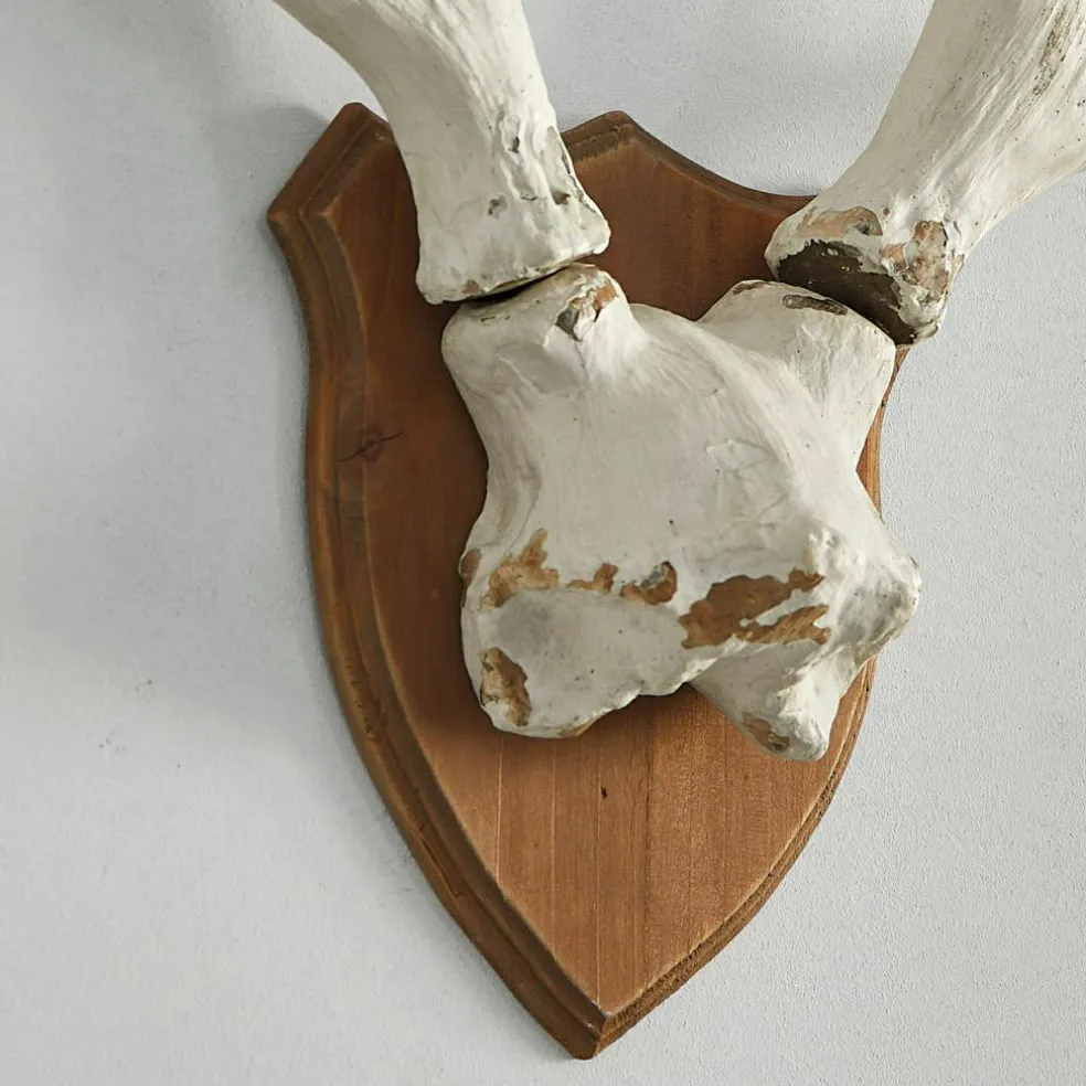 Bois de cerf décoratifs Talim