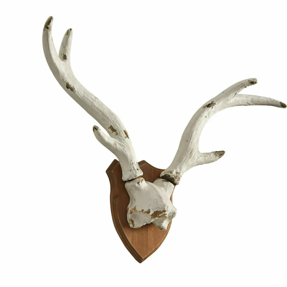 Bois de cerf décoratifs Talim