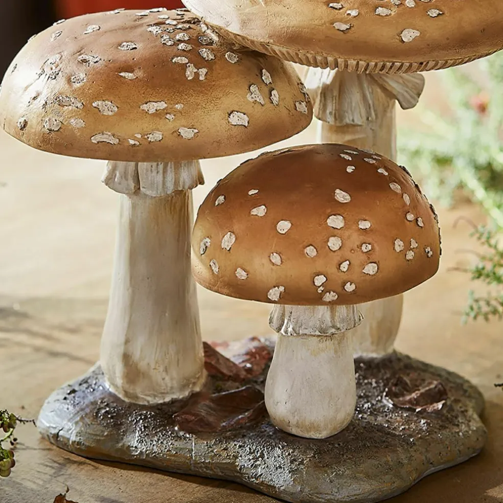 Champignons décoratifs Harvelle