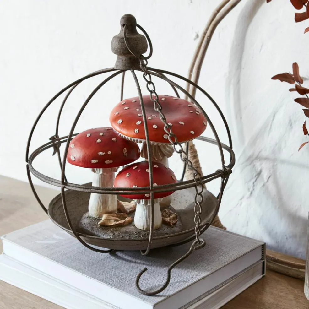 Champignons décoratifs Lupton