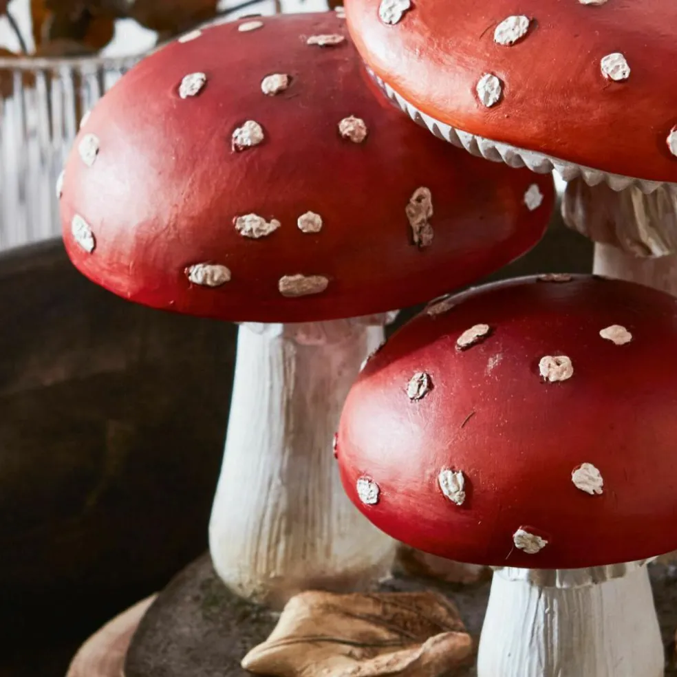 Champignons décoratifs Lupton