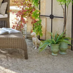 Chien décoratif Albinor