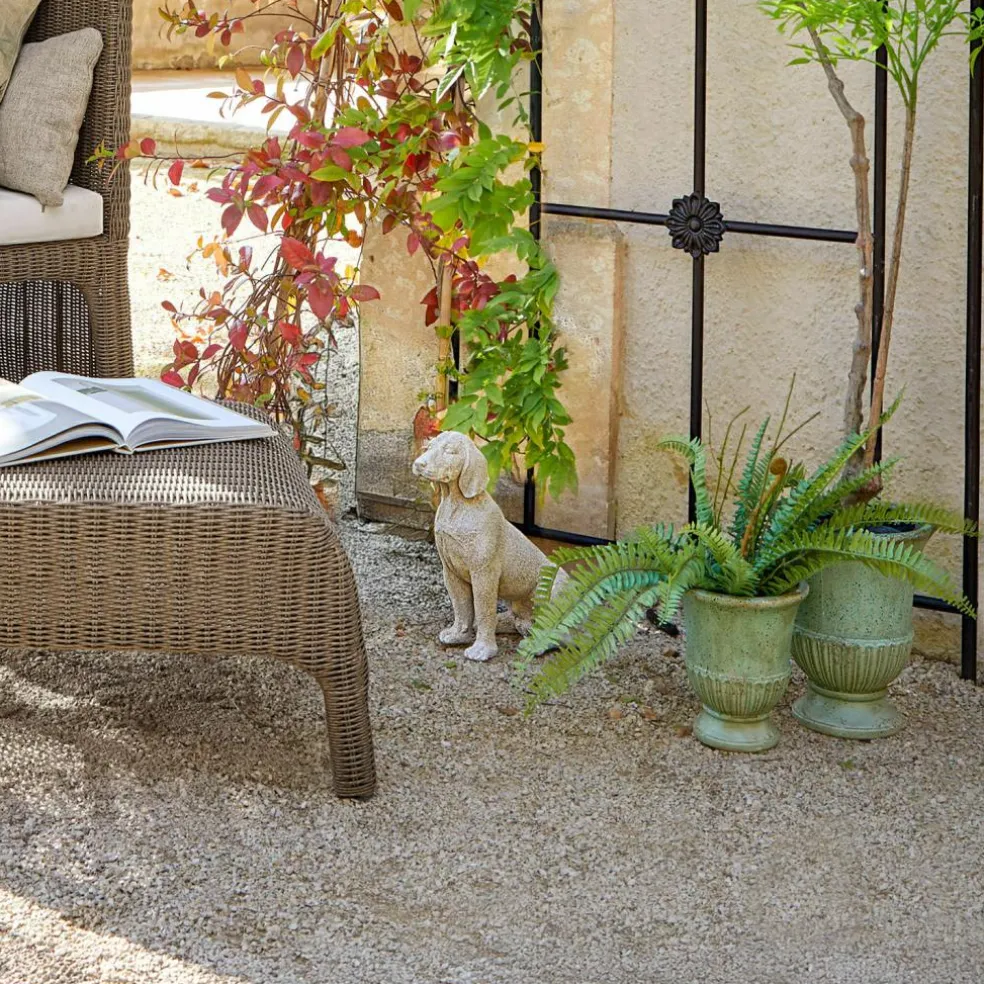 Chien décoratif Albinor