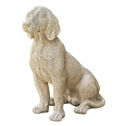 Chien décoratif Albinor