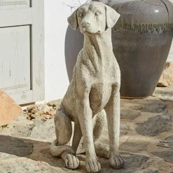 Chien décoratif Elliot