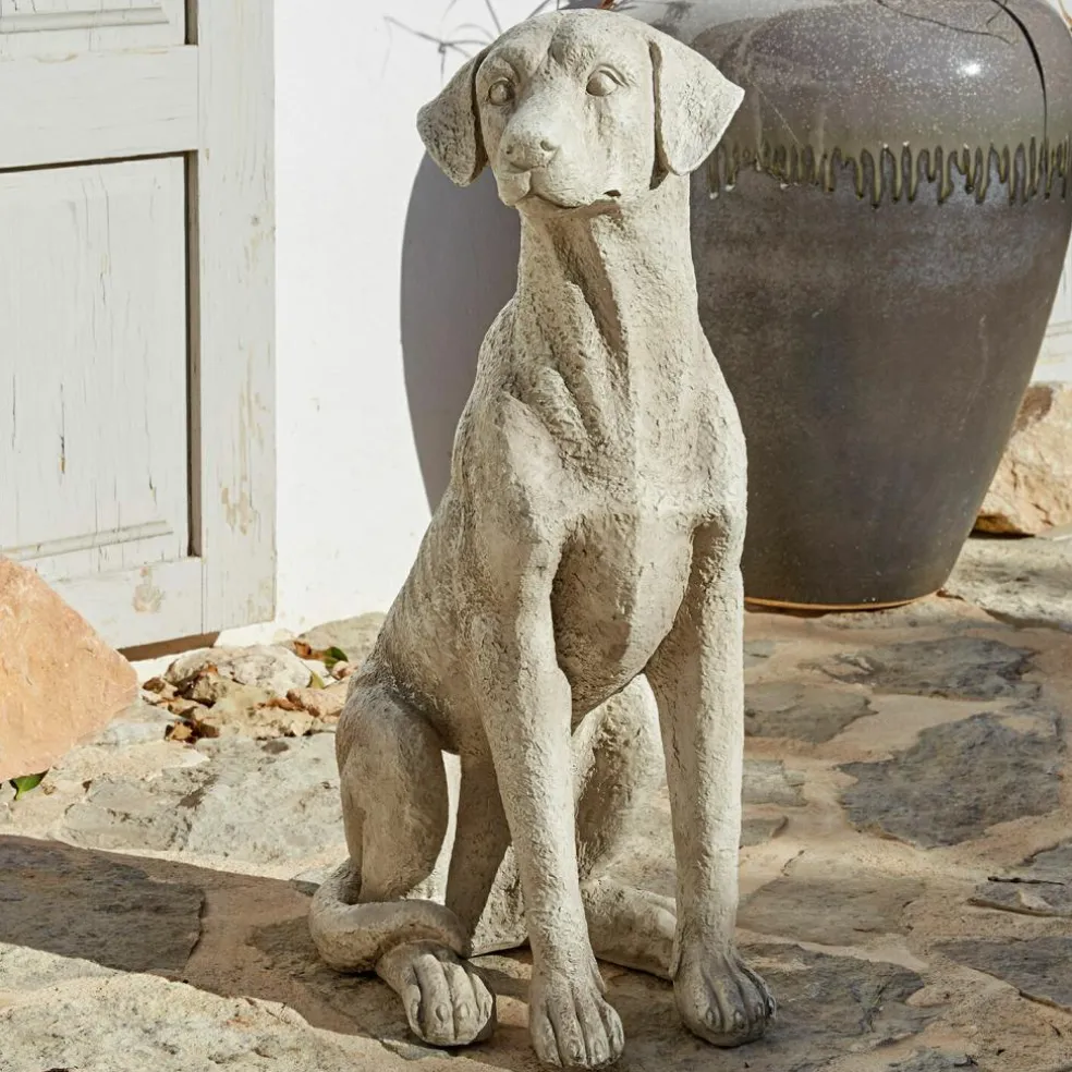 Chien décoratif Elliot