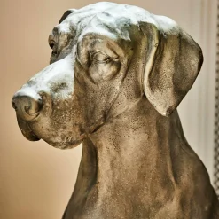 Chien décoratif Jules