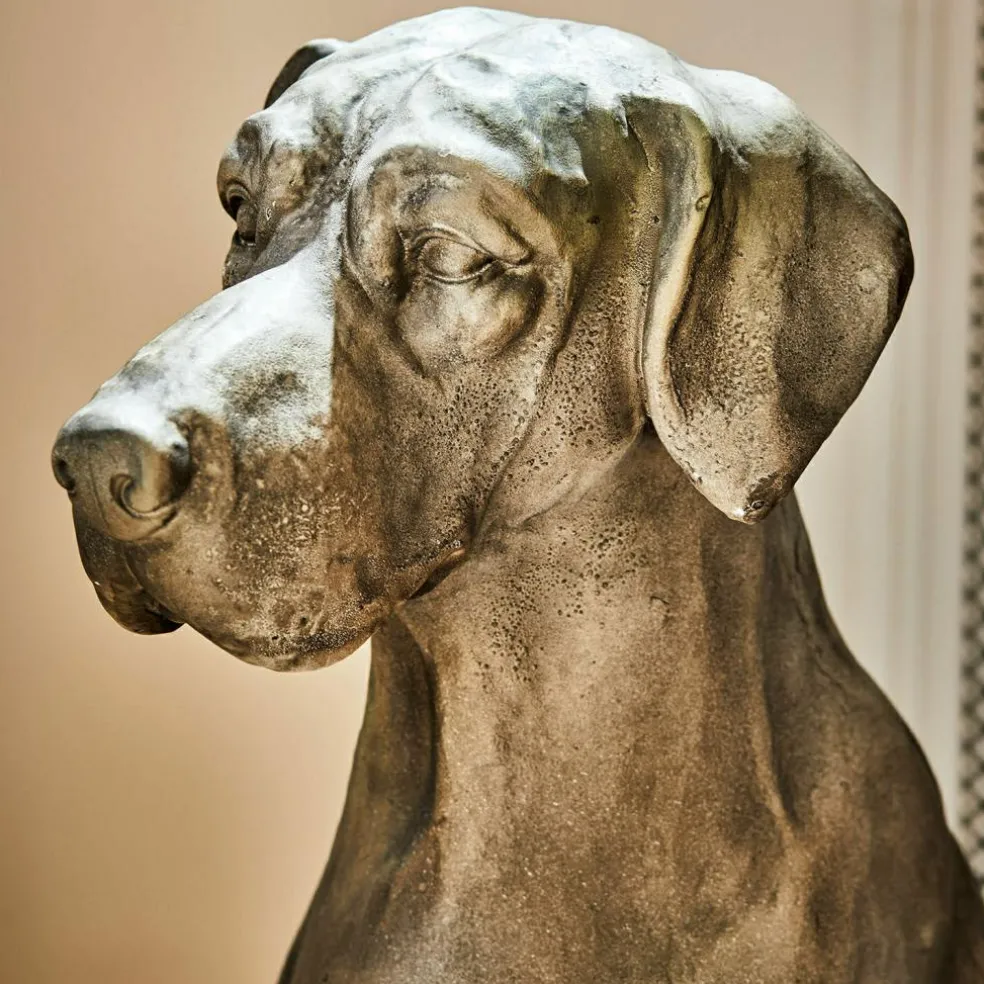 Chien décoratif Jules