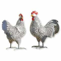 Coq et poule Mannis