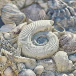 Coquillages décoratifs Potnarvin