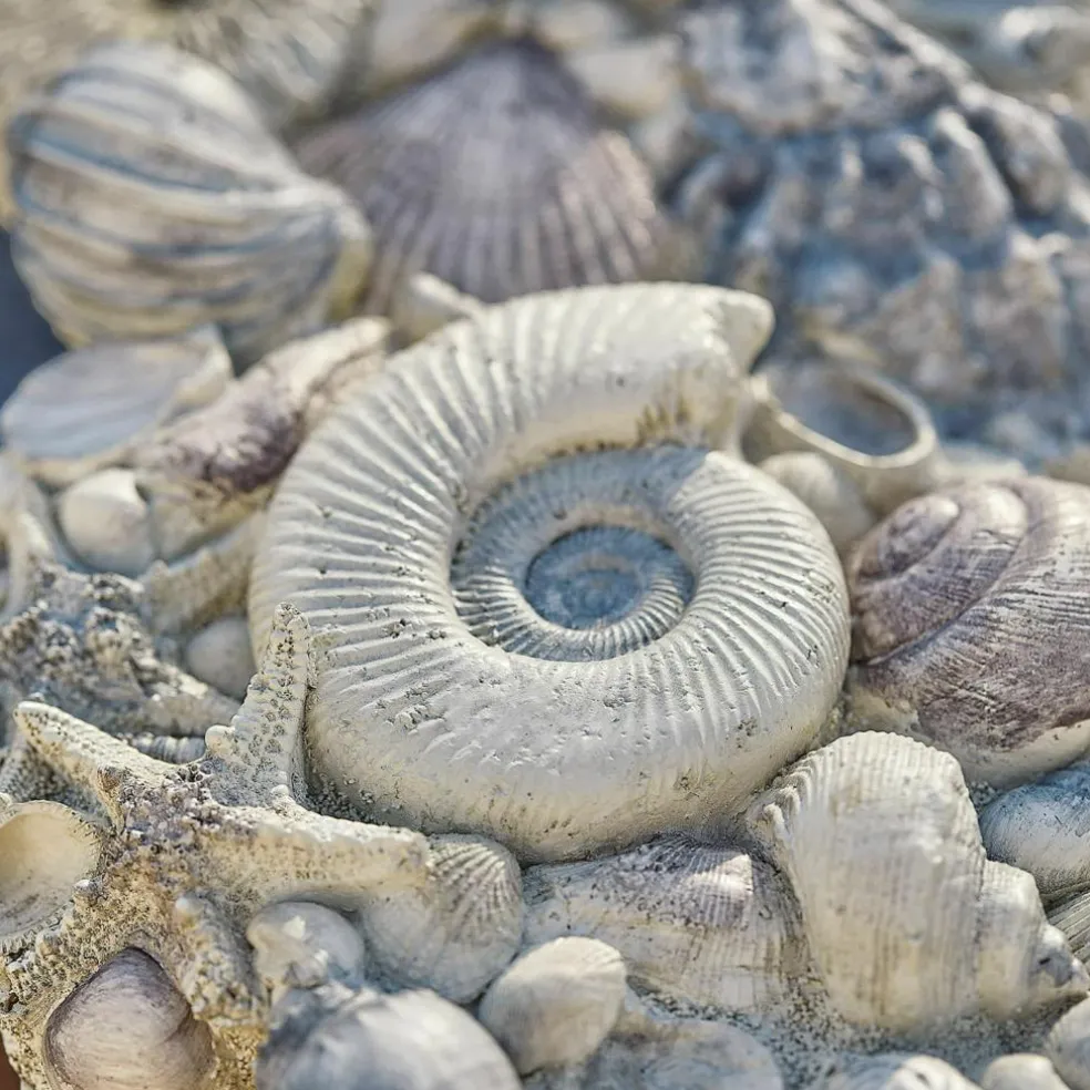 Coquillages décoratifs Potnarvin