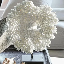 Corail décoratif Condière