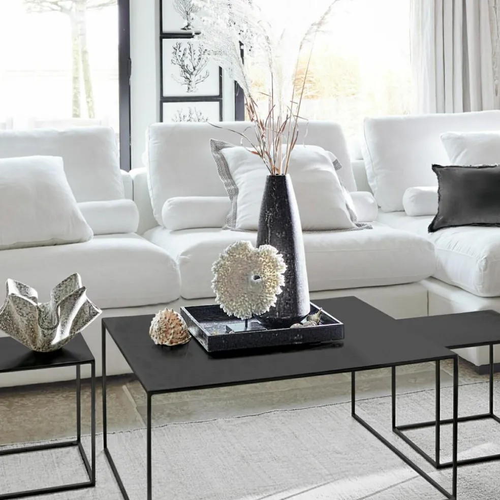 Corail décoratif Condière