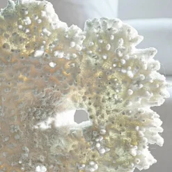 Corail décoratif Condière