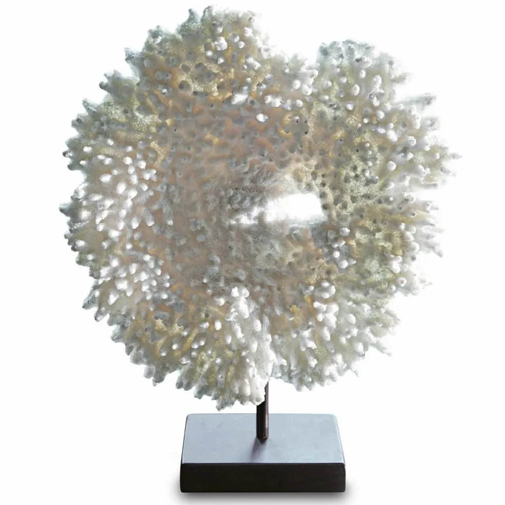 Corail décoratif Condière