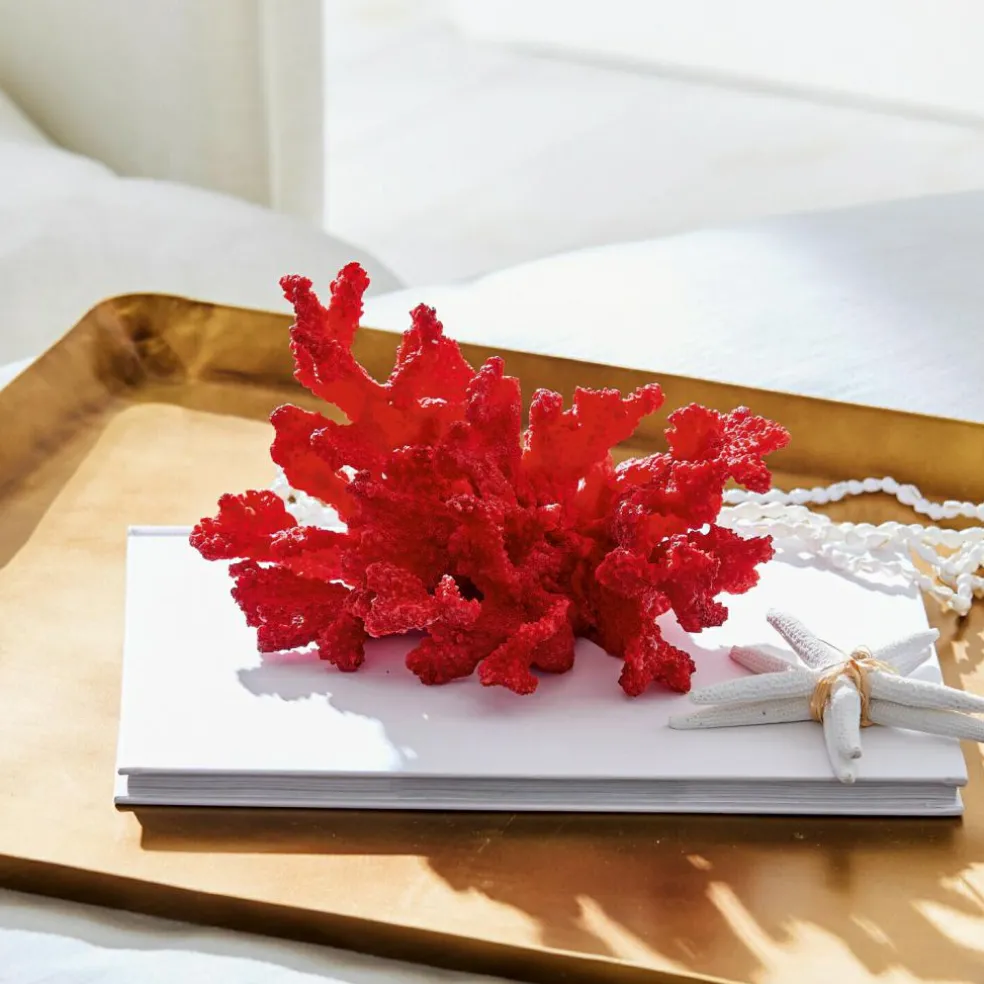 Corail décoratif Reddish