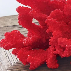 Corail décoratif Reddish