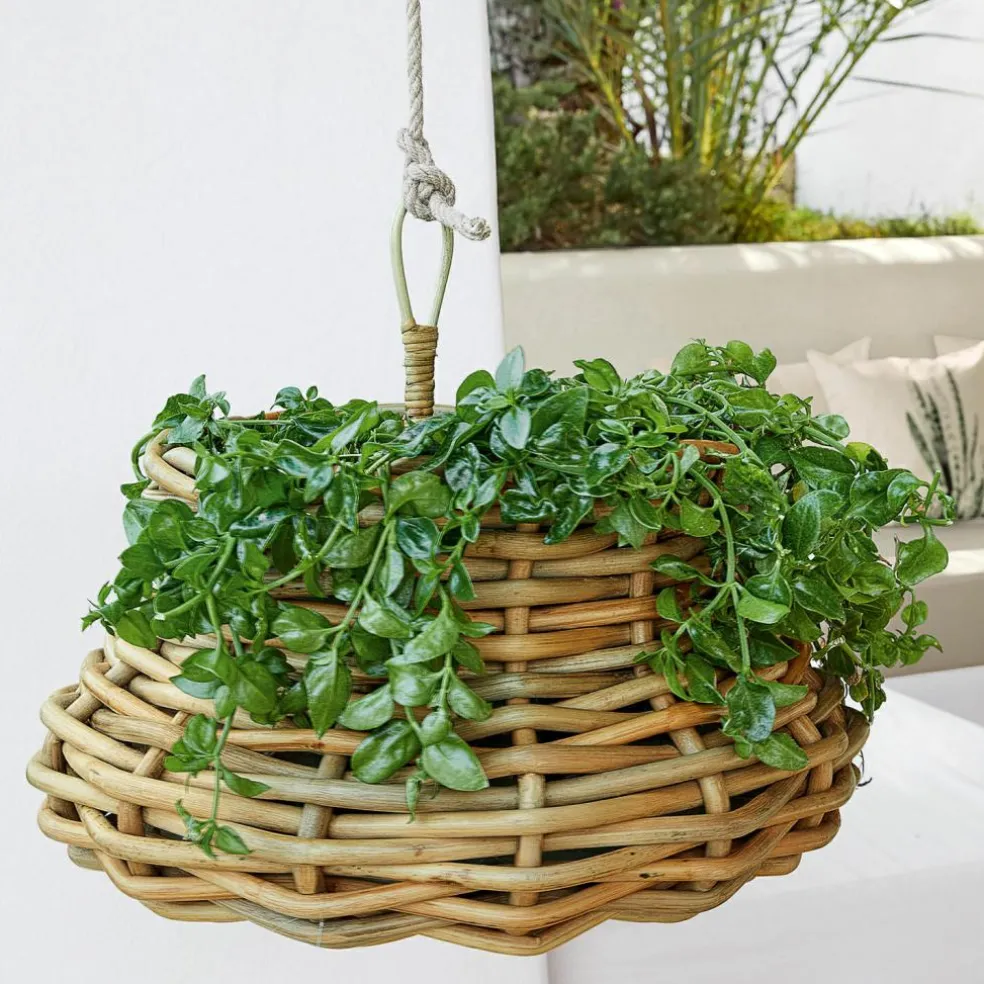 Corbeille à suspendre Villaz