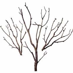 Décoration murale Osservante