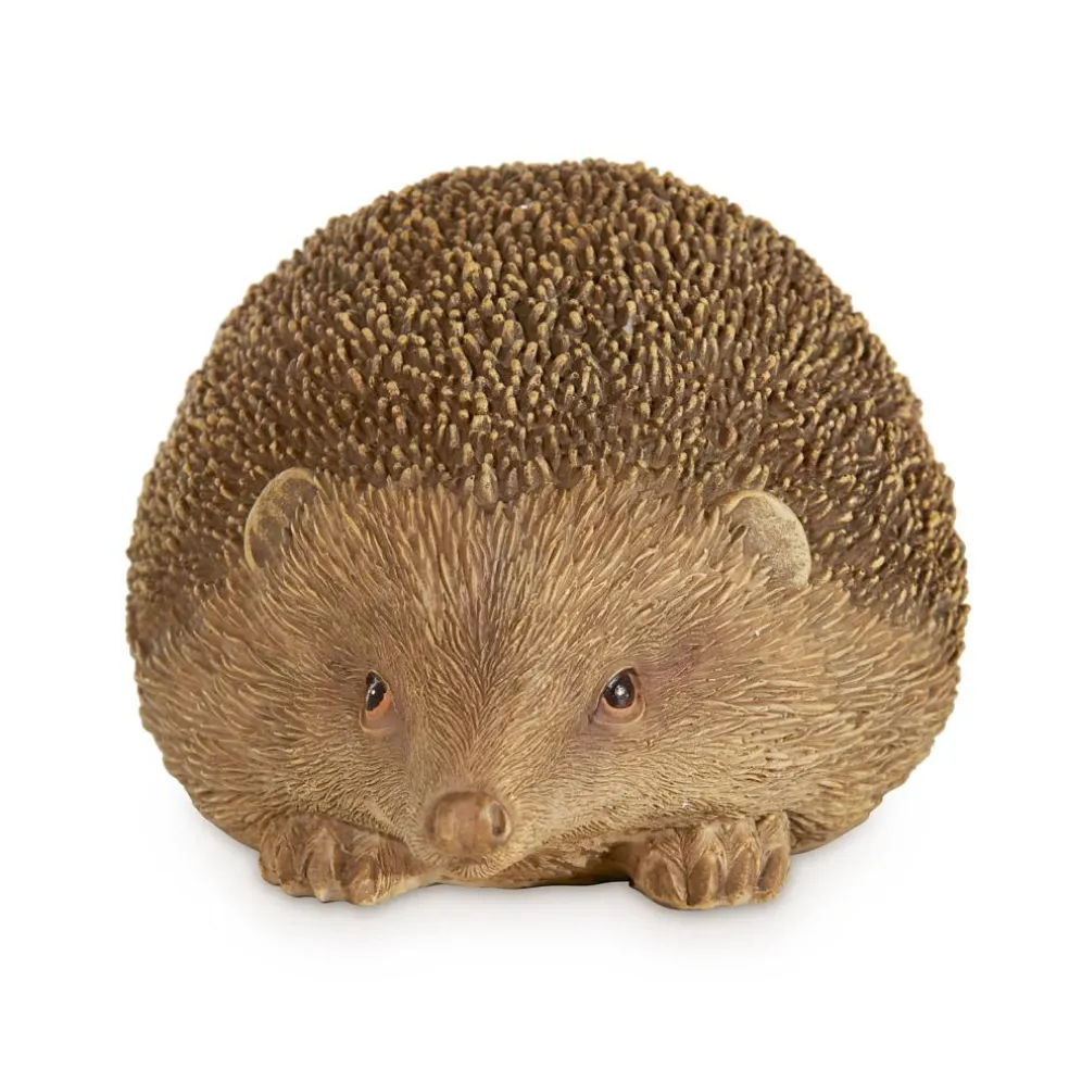 Hérisson décoratif Cotoca