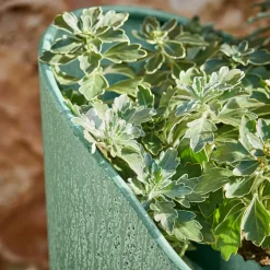 Jardinière Pavignac