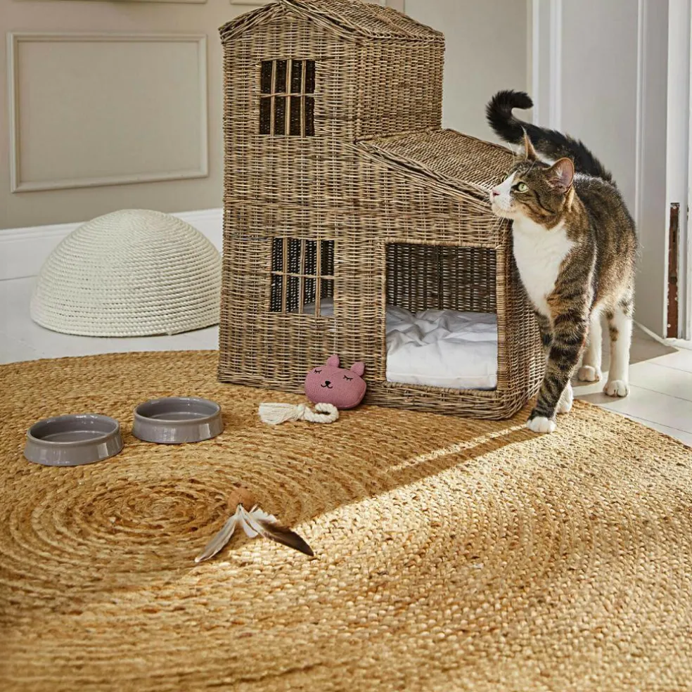 Jouet pour animaux Miezmo