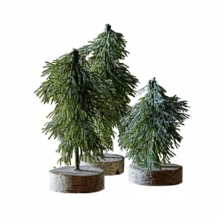 Lot de 3 arbres Lonzac