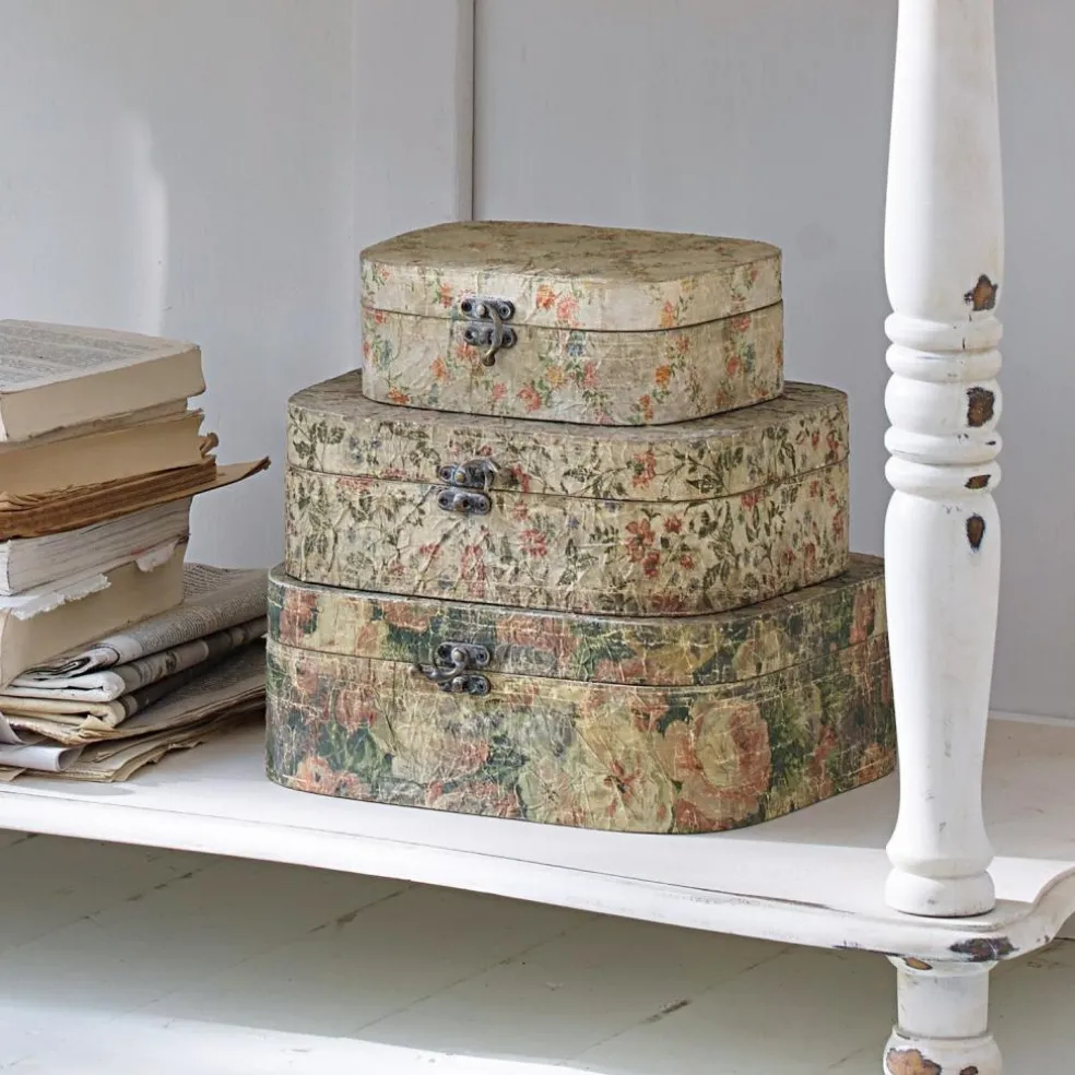 Lot de 3 boîtes Emmylou