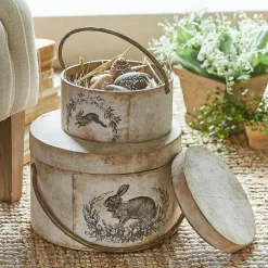 Lot de 2 boîtes Roxelle