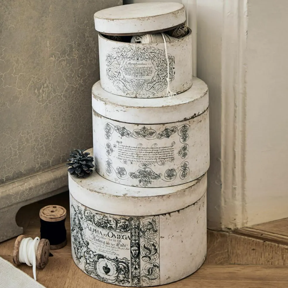 Lot de 3 boîtes Willma