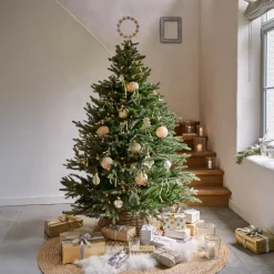 Lot de 6 boules de Noël Eirelyn