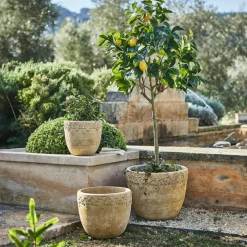 Lot de 3 cache-pots Serrat