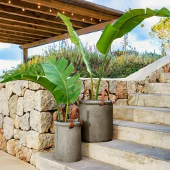 Lot de 2 cache-pots Tessonet