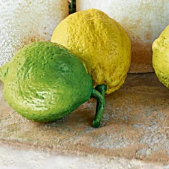 Lot de 2 citrons décoratifs Ginny