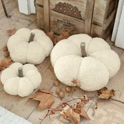 Lot de 3 citrouilles Benjamin