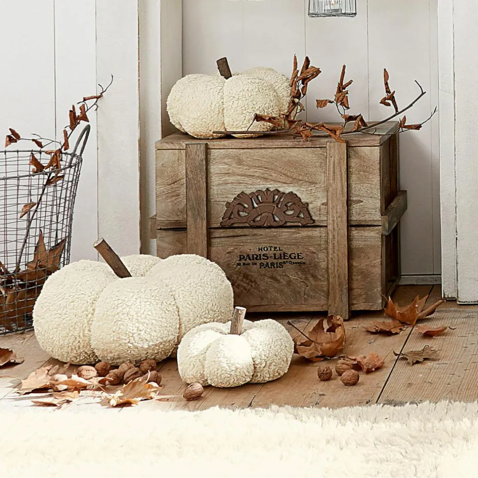 Lot de 3 citrouilles Benjamin