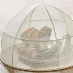 Lot de 2 cloches Ognéville