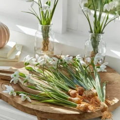 Lot de 12 fleurs décoratives Willmare