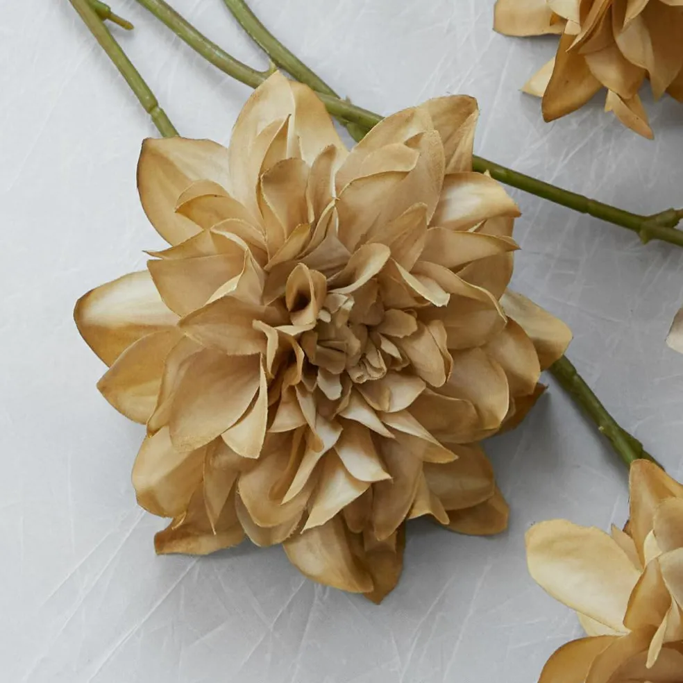 Lot de 4 fleurs décoratives Cappellina