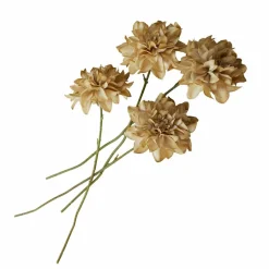 Lot de 4 fleurs décoratives Cappellina