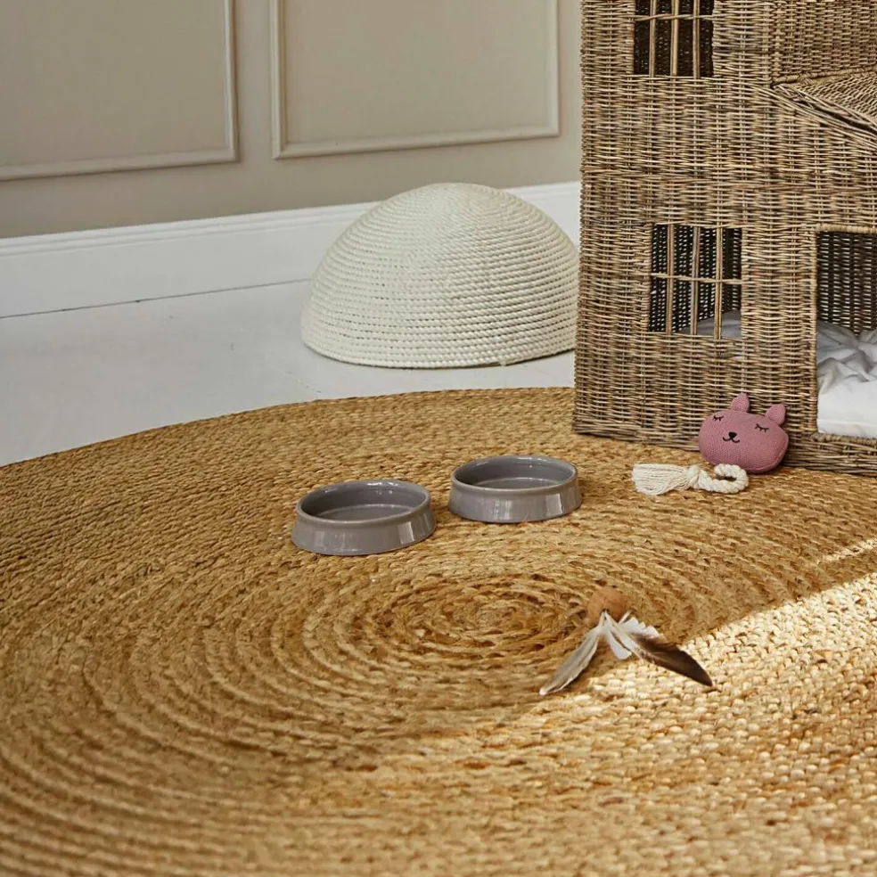 Lot de 2 gamelles Hapitos