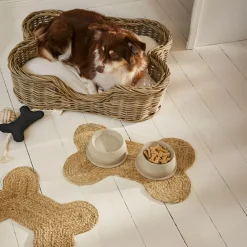 Lot de 2 gamelles Kireva