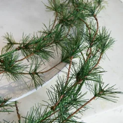 Lot de 2 guirlandes Bohicon