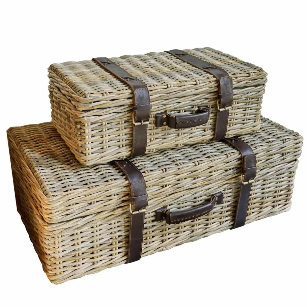 Lot de 2 malles Prelaire