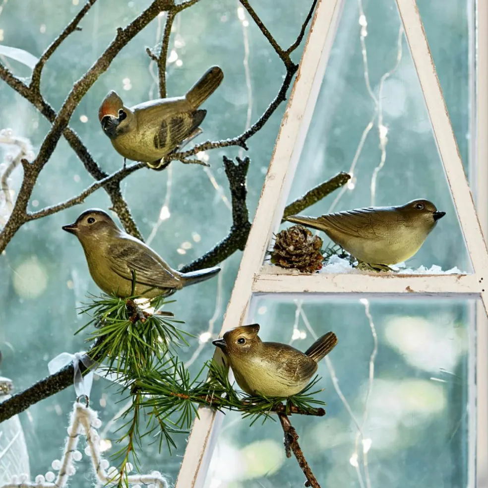 Lot de 4 oiseaux décoratifs Pompaire