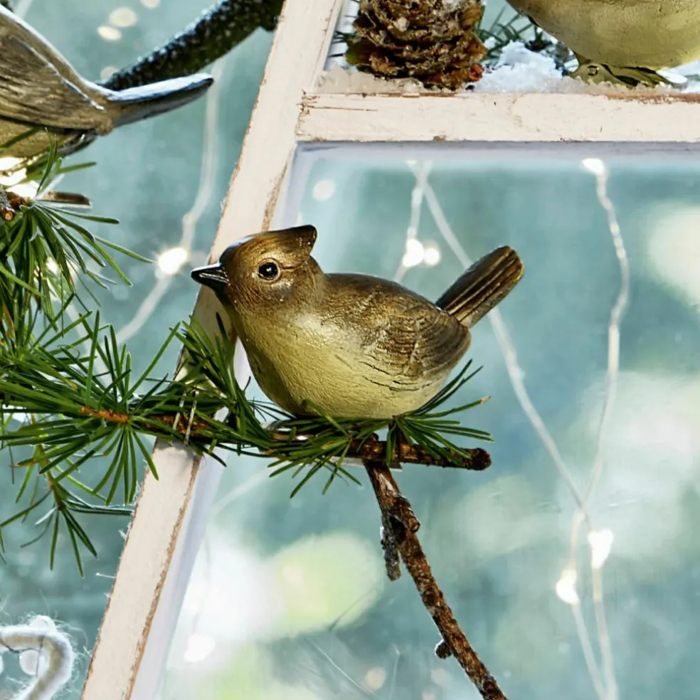 Lot de 4 oiseaux décoratifs Pompaire