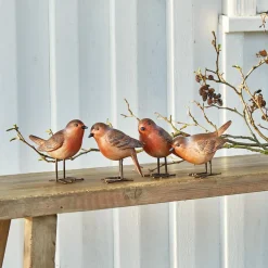 Lot de 4 oiseaux Siblings