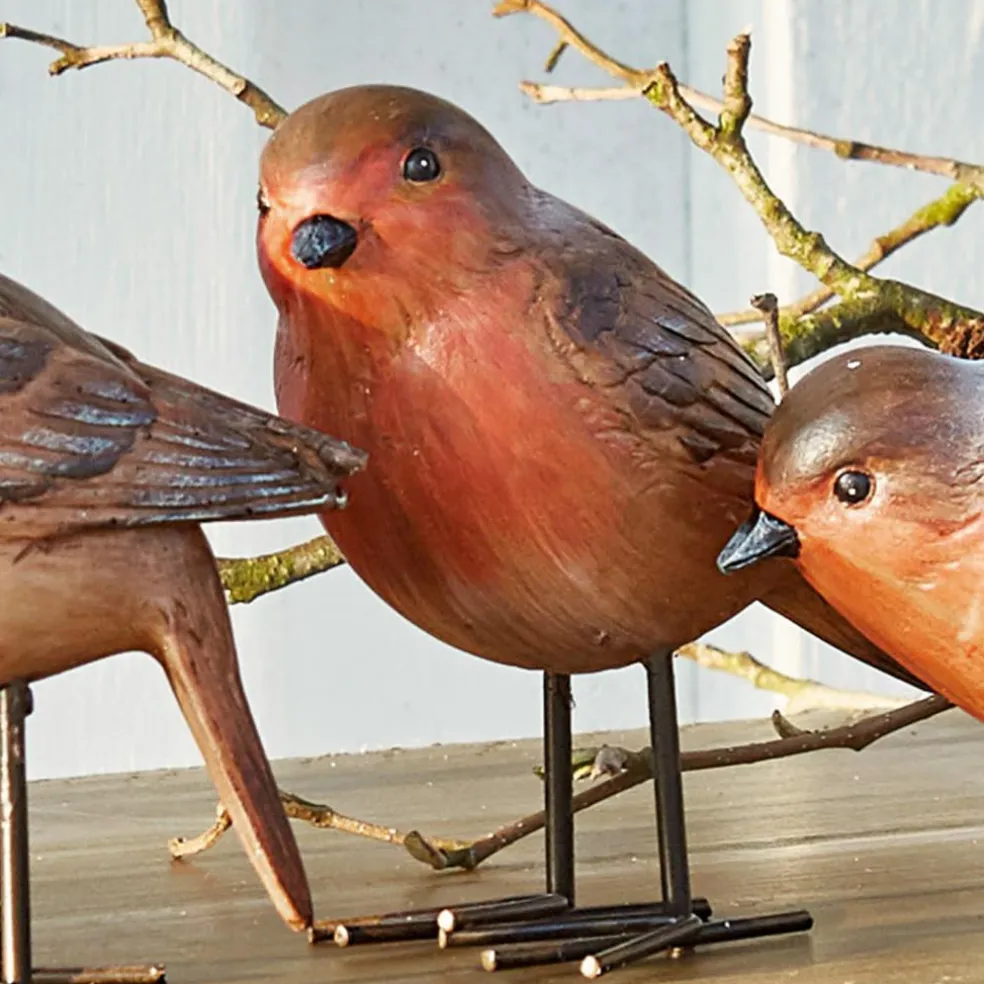 Lot de 4 oiseaux Siblings